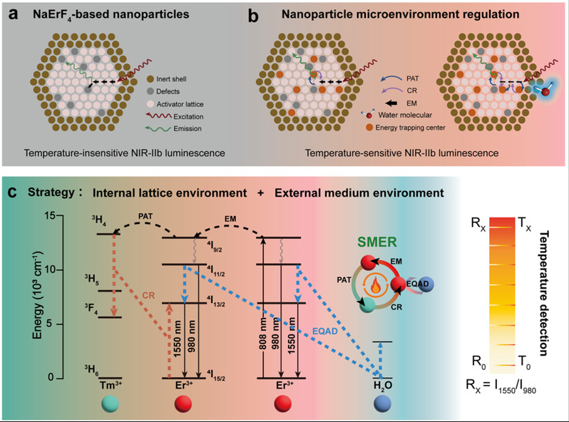 物质学院朱幸俊课题组揭示稀土发光温敏机制提升测温精度